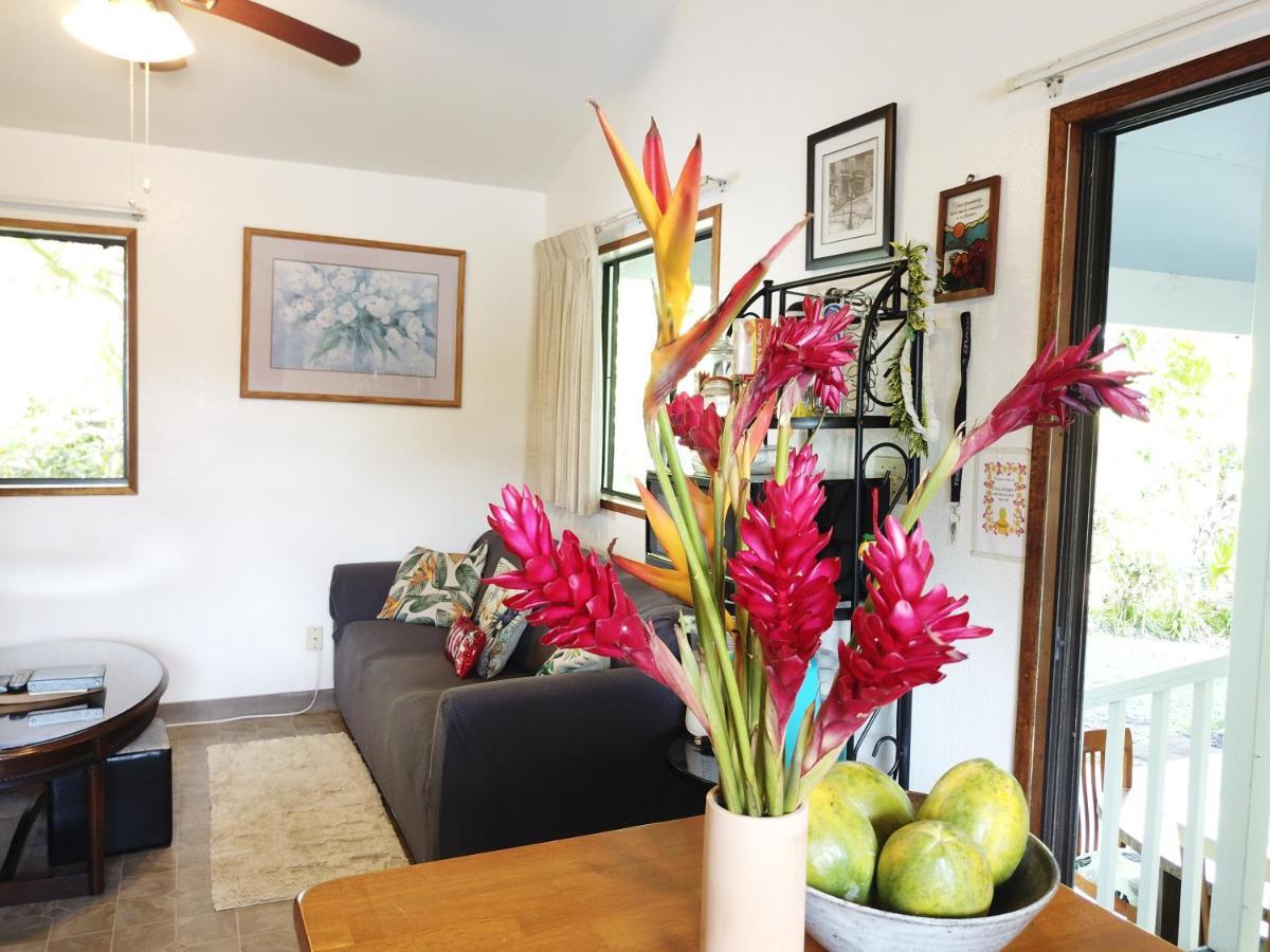Hawaiian Ohana Home Хило Экстерьер фото